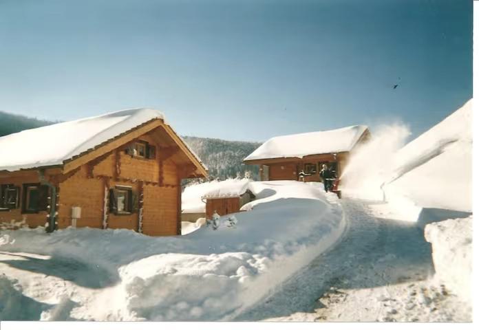 Le "Chalet De Minette" 2 Etoiles לה ברסה מראה חיצוני תמונה