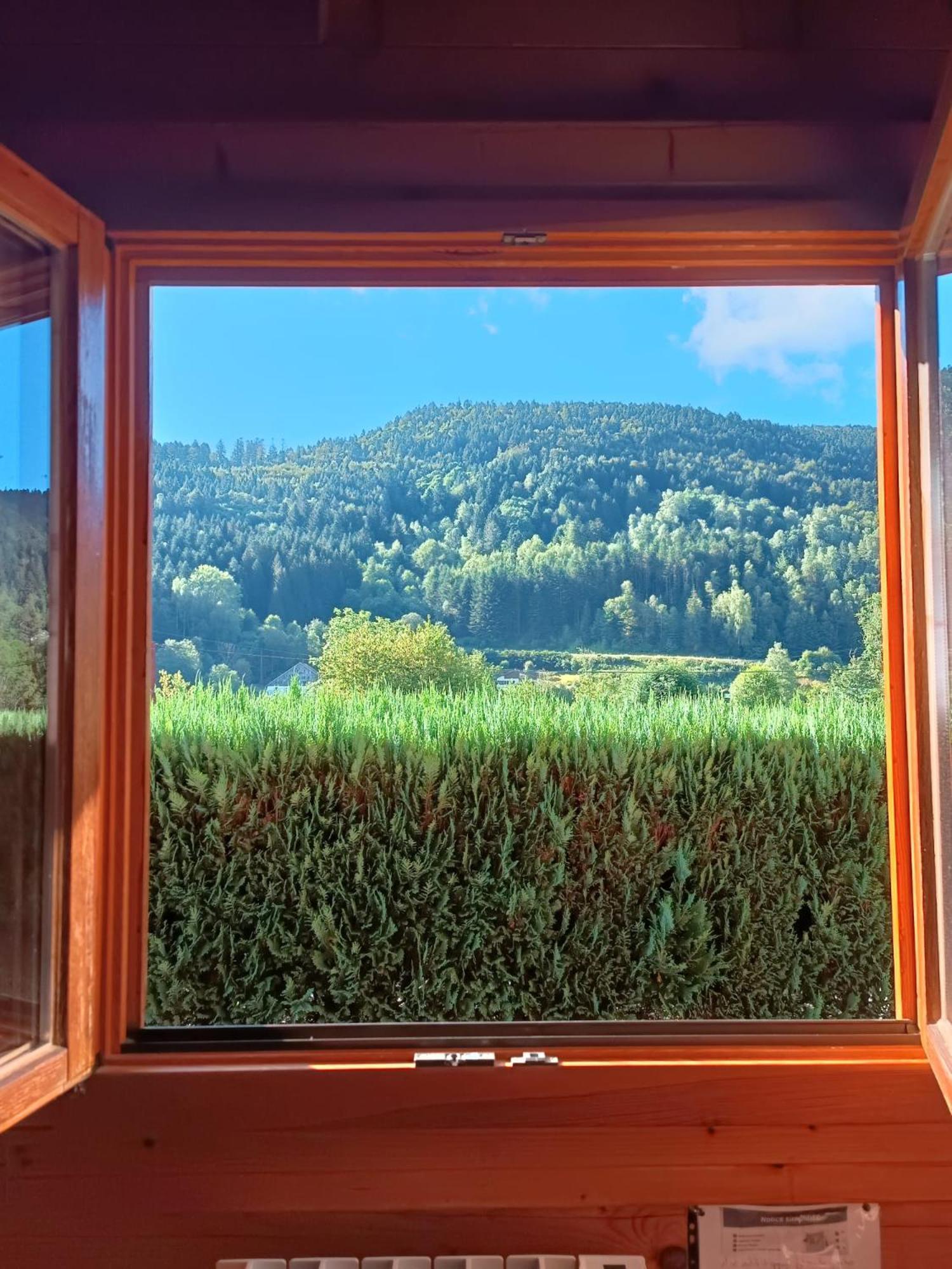 Le "Chalet De Minette" 2 Etoiles לה ברסה מראה חיצוני תמונה